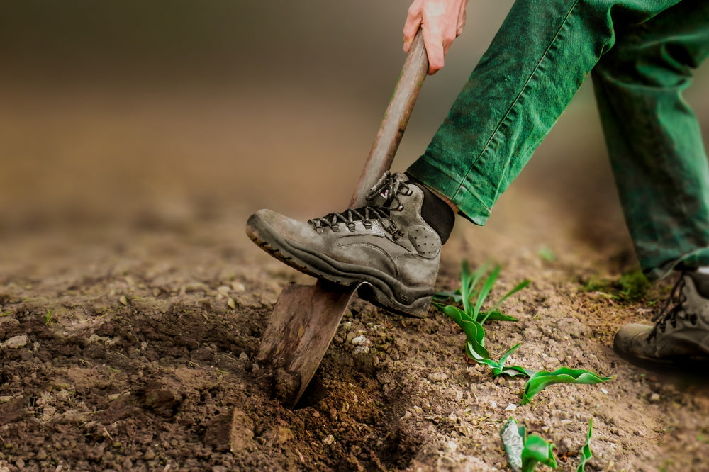 Affordable Shoes for Gardening: It's Okay if They Get Dirty