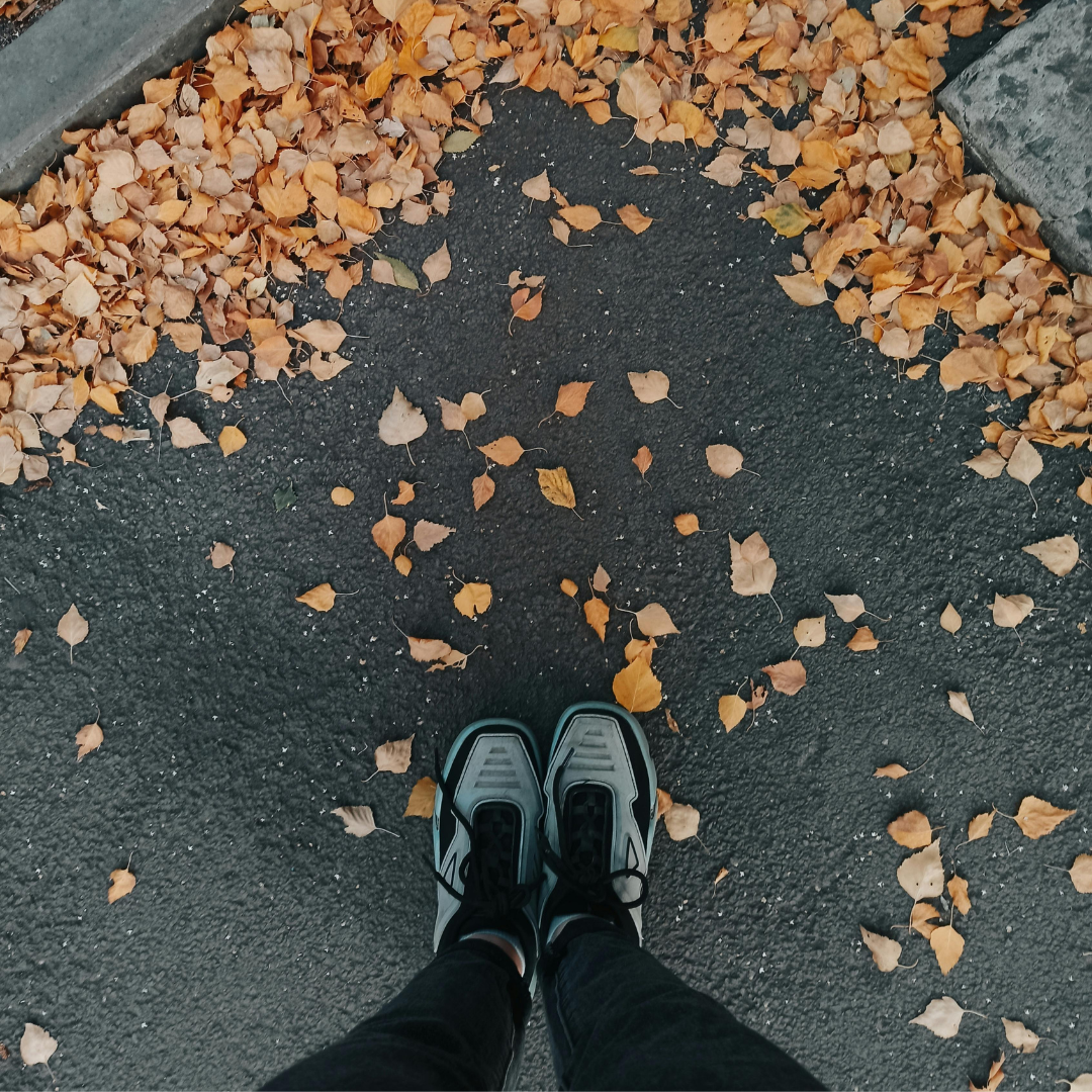 Budget Sneakers for Fall Featuring Top Brands at Low Prices